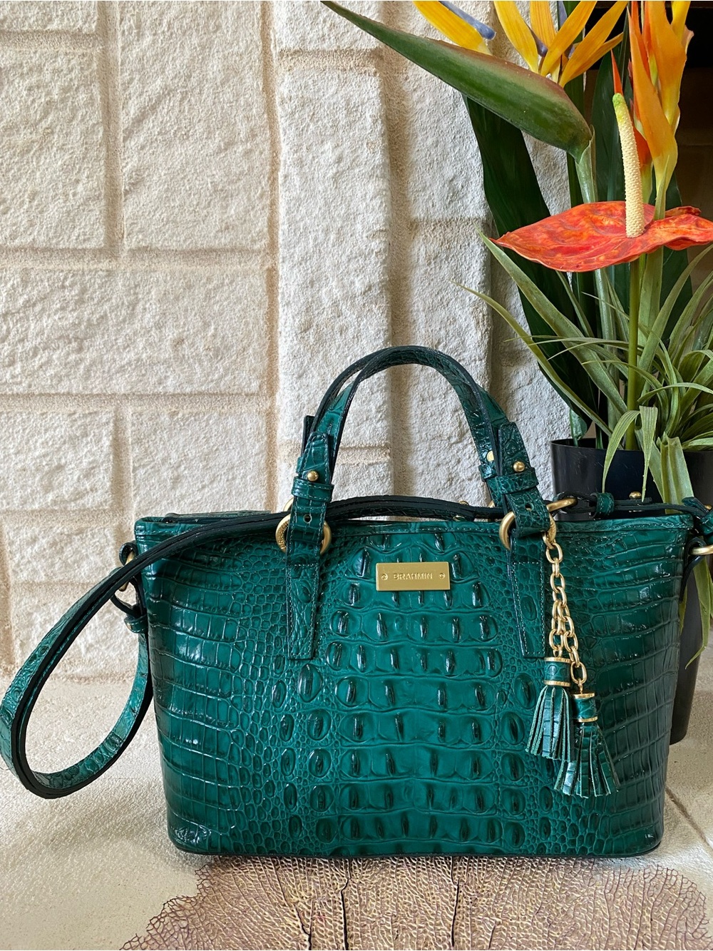 BAYLEAF MELBOURNE Brahmin MINI ASHER TASSELED SATCHEL